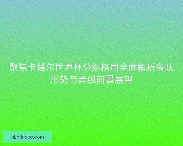 聚焦卡塔尔世界杯分组格局全面解析各队形势与晋级前景展望